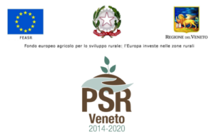 banner_psr_beneficiari-1