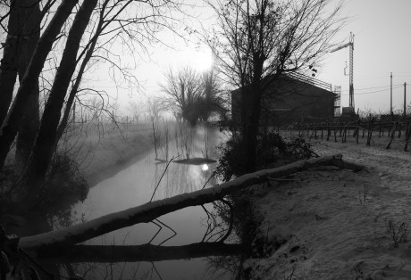 Poesia in vigna